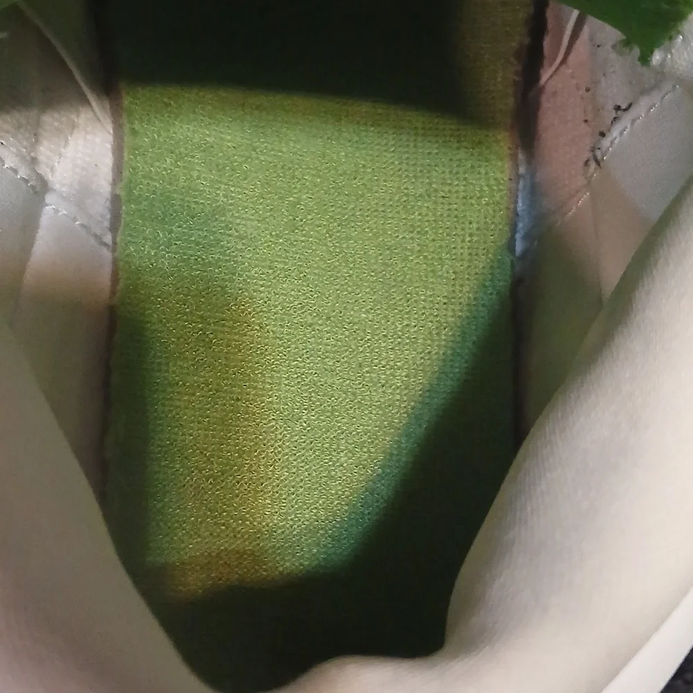 Air Jordan 3 Retro (CHLOROPHYLL) Mens-11.5 ,100% Authentic! - Picture 7 of 12